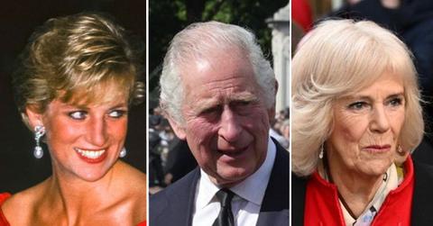 diana charles camilla pp