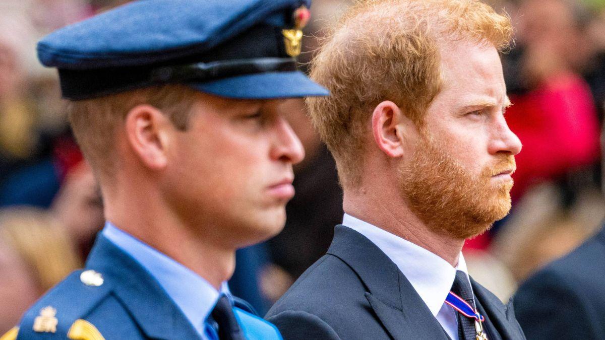 Photo of Princes Harry and William