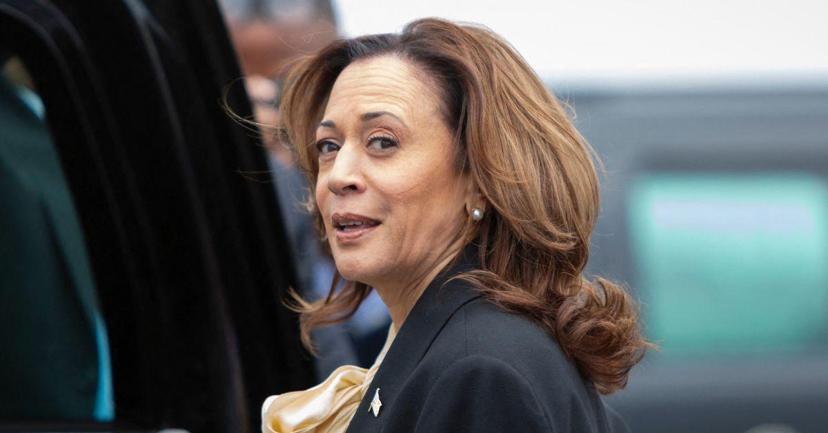 kamala harris clash pro palestine protestor heated fundraiser detroit