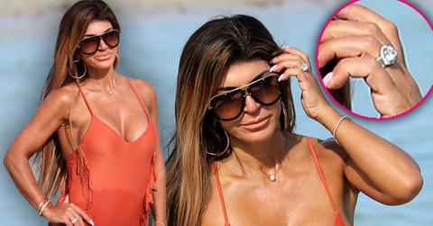 Teresa Giudice Swimsuit Miami Divorce Deportation