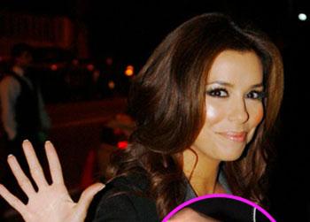 //longoriaevaexccrgm