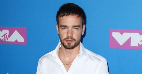 liam payne one direction tell all documentary on ice hospitalized