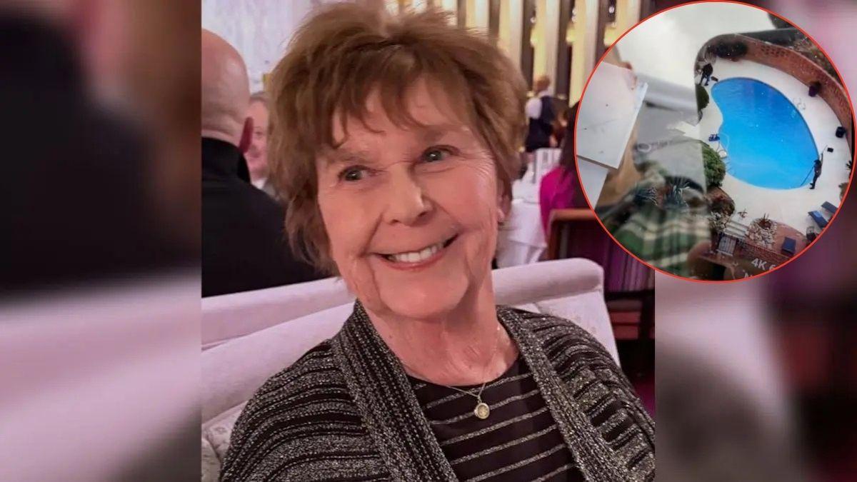 Composite photo of Nancy Guthrie and pool cleaners