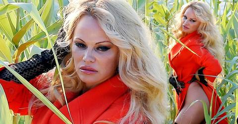 pamela anderson nude butt pics