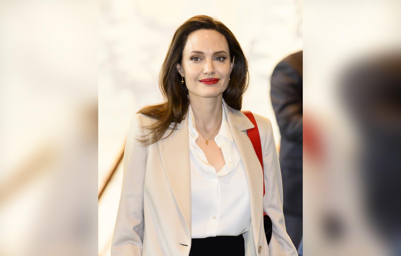 Angelina Jolie Addresses UN Amid Brad Pitt Divorce