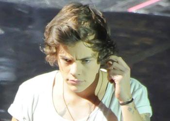 //pp_harrystylespuke