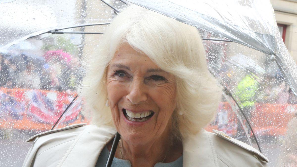 picture of Queen Camilla