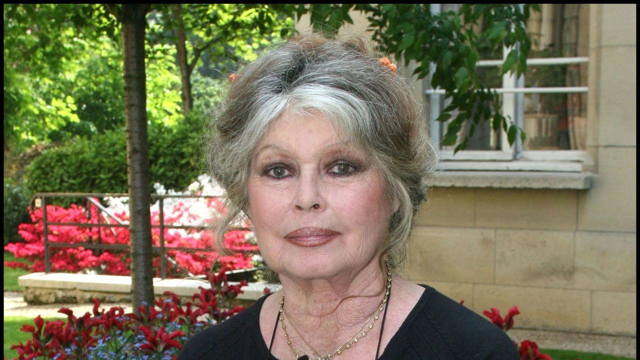 Brigitte Bardot's widower condemns the auction of her personal belongings and voices his disapproval.