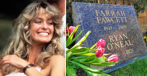 farrah fawcett ryan oneal pp