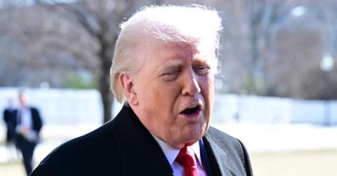 Donald Trump called for Republicans to pass the SAVE Act.