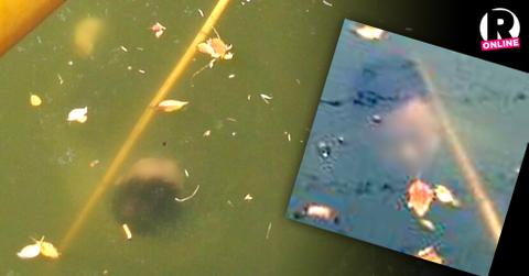 Apple Watch Sweatshop Scandal Death