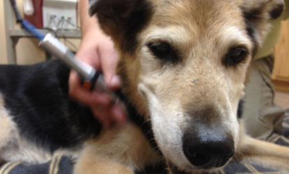 //laser feels_good_px_wide