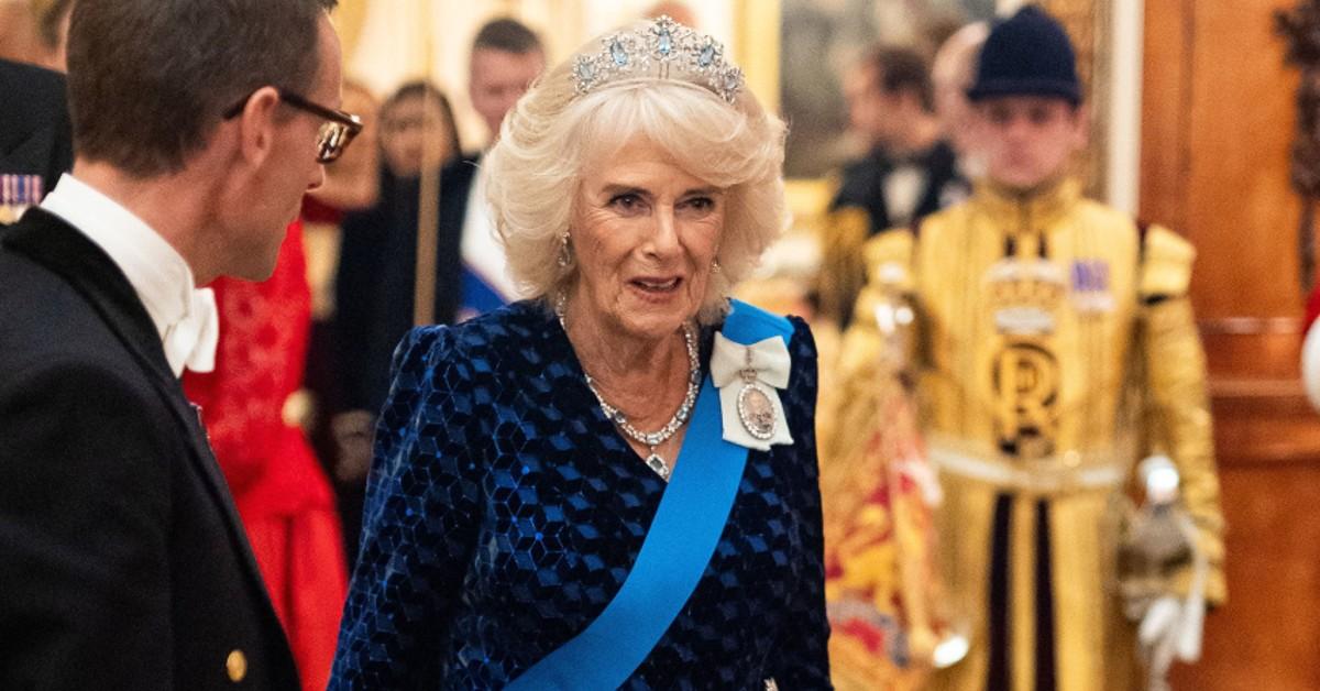 queen camilla hit by shocking documentary branding her wicked stepmother as she fights chest infection and comforts dying king charles