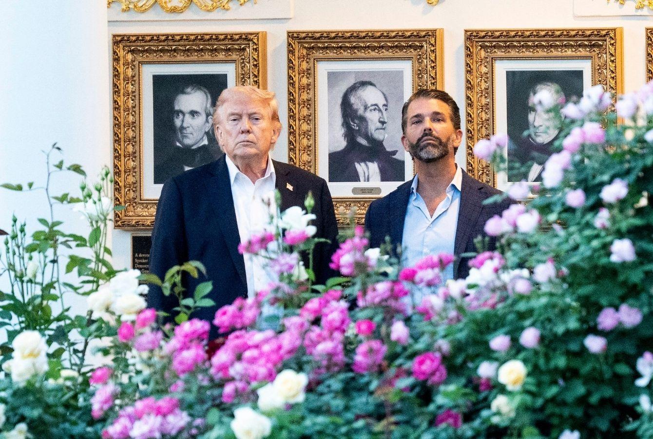 Picture of Donald Trump and Donald Trump Jr.