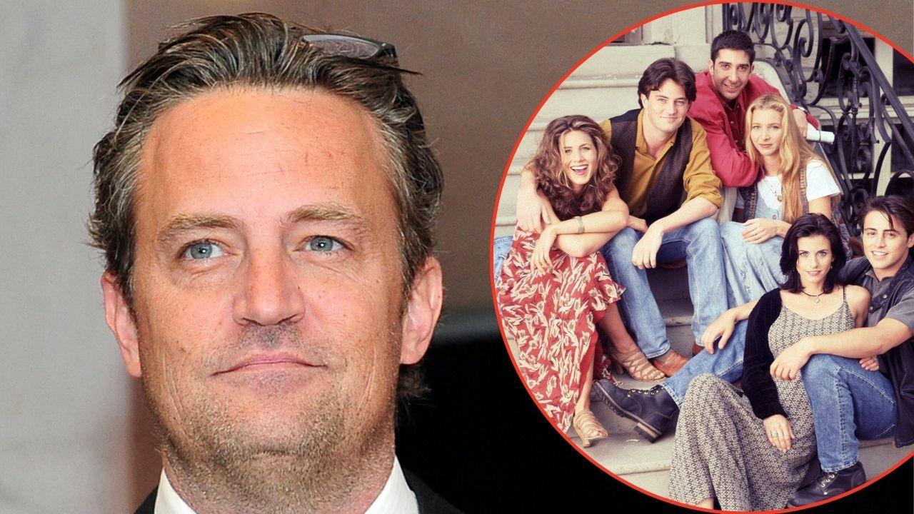 picture of Matthew Perry and Friends cast