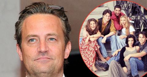 picture of Matthew Perry and Friends cast