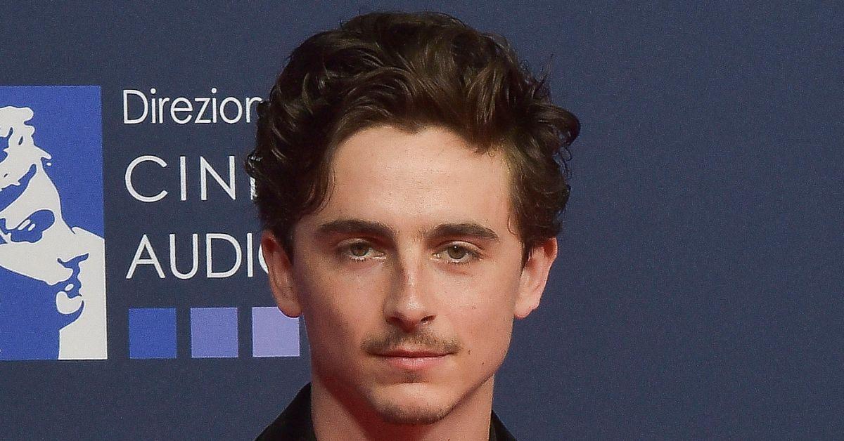 picture of Timothée Chalamet
