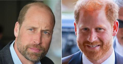 Picture of Prince William and Prince Harry