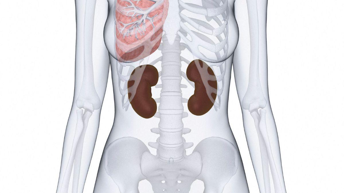 Victims reportedly sold their extra kidneys for money that never came. 