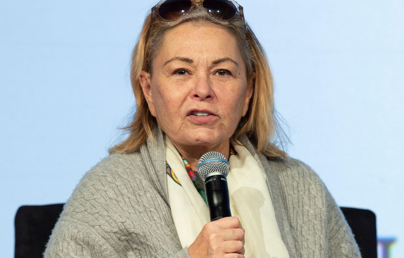 Roseanne Barr Says She Never Asked For Money After Show Cancellation