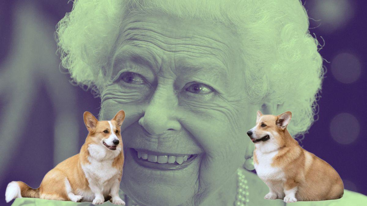 Photo of Queen Elizabeth and her two corgis
