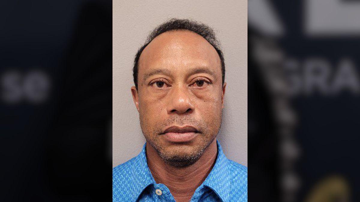 picture of Tiger Woods