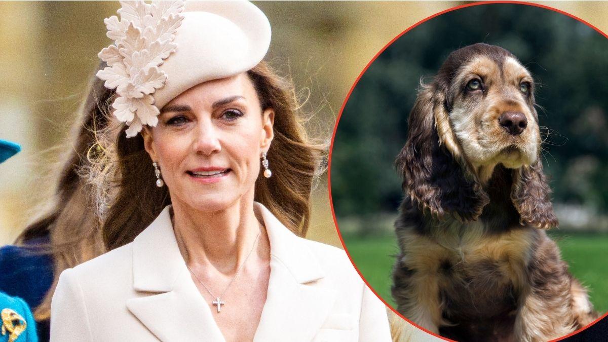 radaronline.com - Aaron Tinney - EXCLUSIVE: 'Broody' Future Queen Catherine Recruits New 'Comfort Pet' As Her Pregnancy Days 'Are Numbered