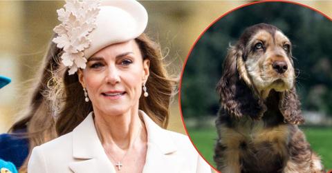 Photo of Princess Kate