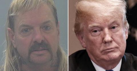 Split photo of Joe Exotic, Donald Trump.