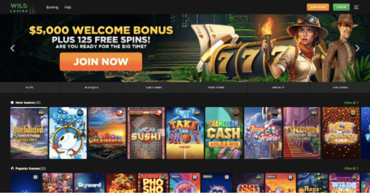 top fastest payout online casinos usa