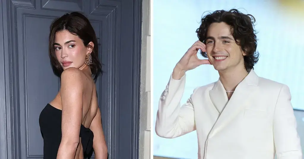 kylie jenners strip down bra undies khy promo timothee chalamet