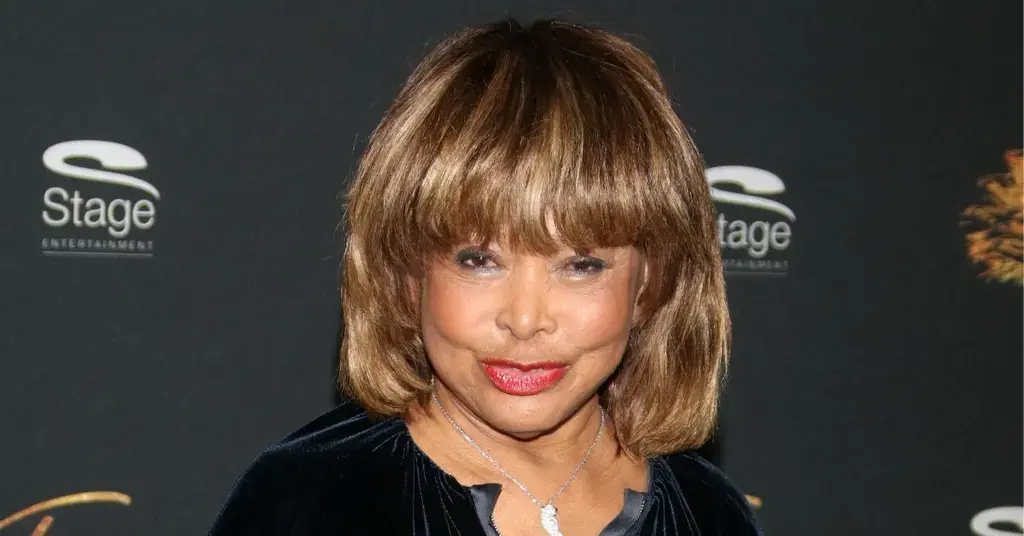 tina turner son ike jr dead  family decades heartache