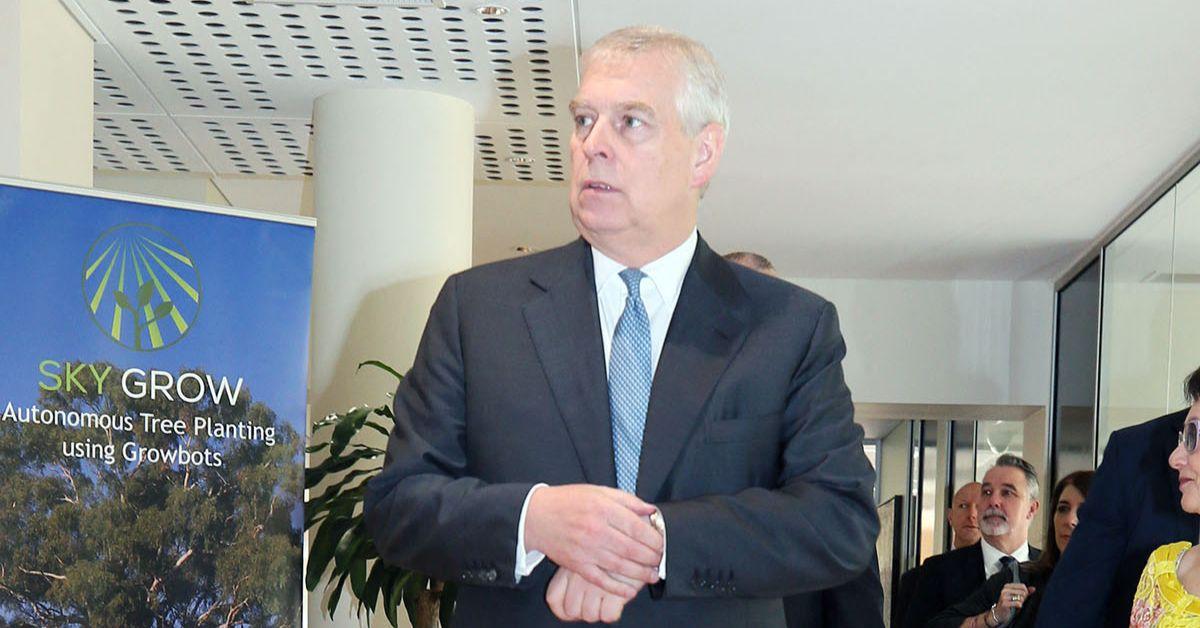 Photo of Prince Andrew