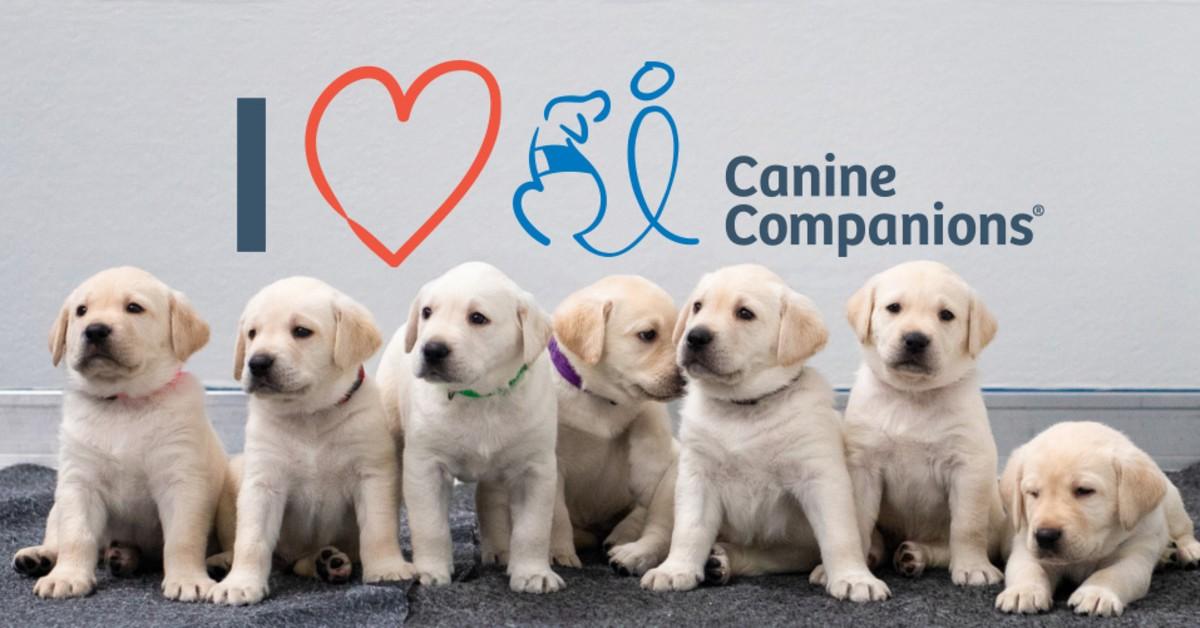Canine Companions wants nothing to do with Maxwell.