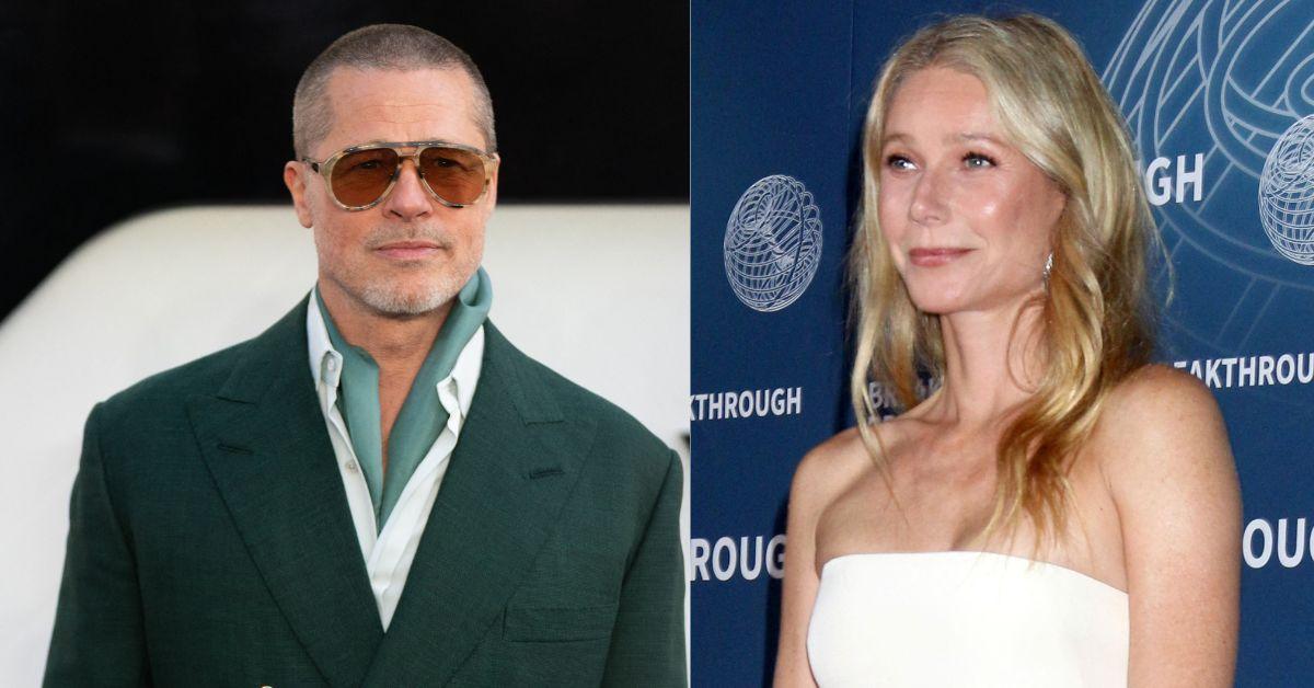 Amy Odell's 'The Biography' claimed Gwyneth Paltrow once called Brad Pitt 'dumber than a sack of s**t.'