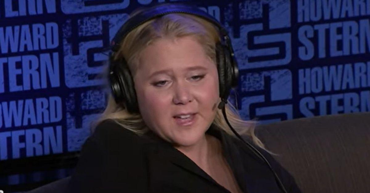 amy schumer howard stern