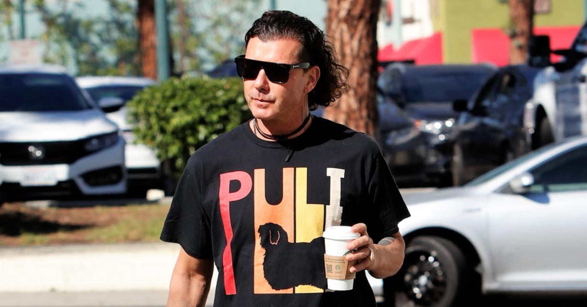 gavin rossdale dog walking pp