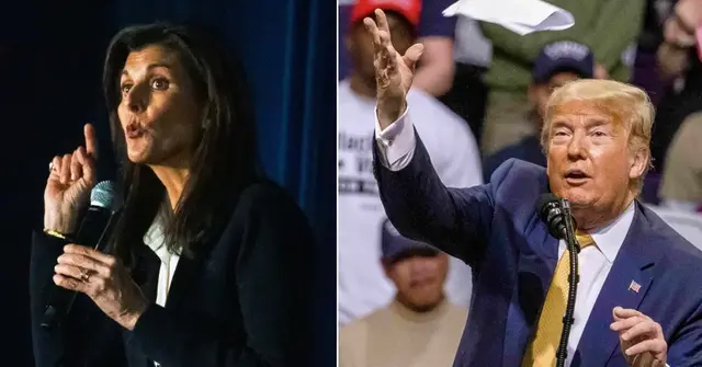 nikki haley donald trump electability south carolina primary