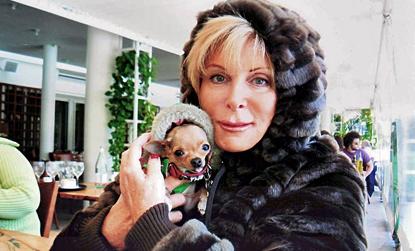 //gail posner dog conchita house sells