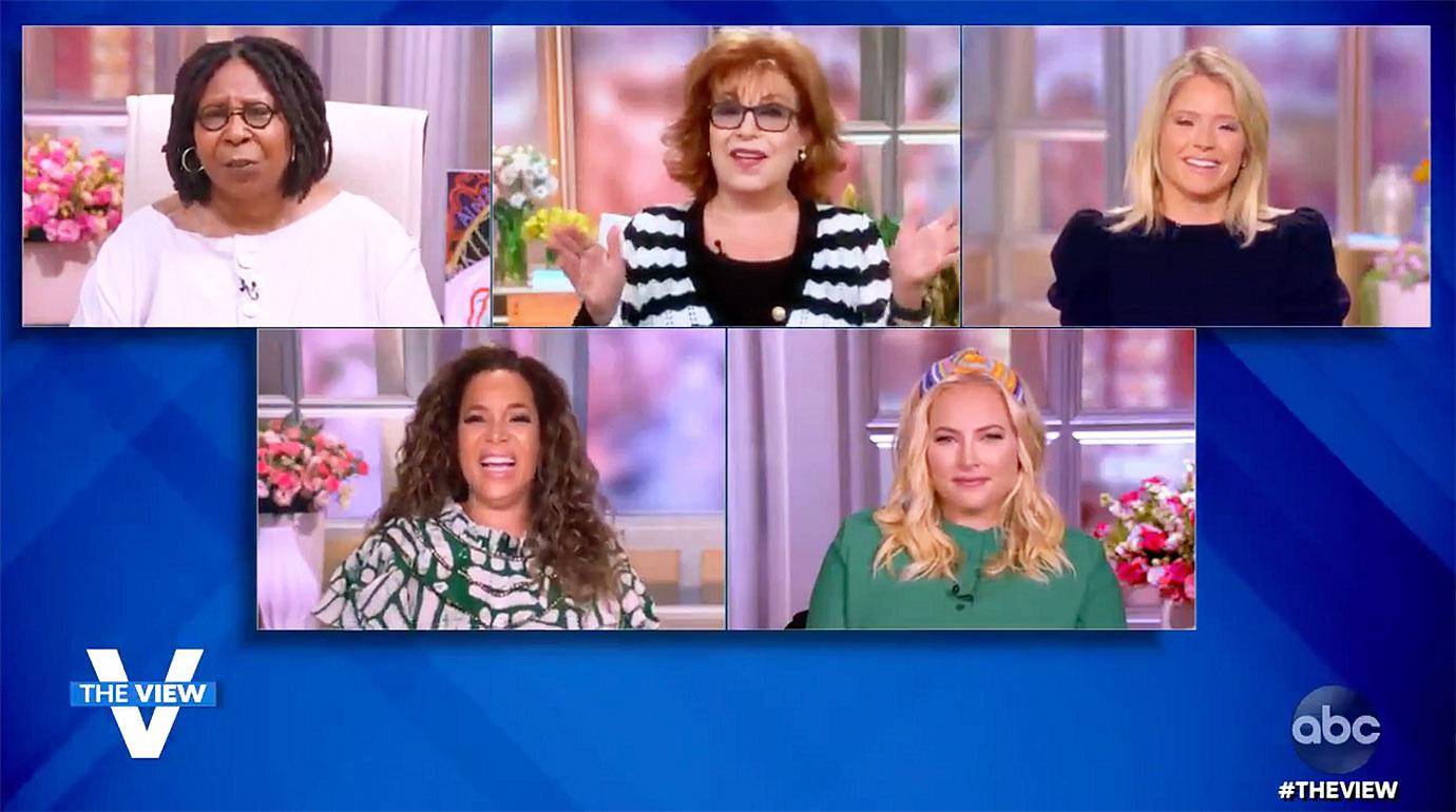 the view meghan mccain joy behar not speaking fight abc r