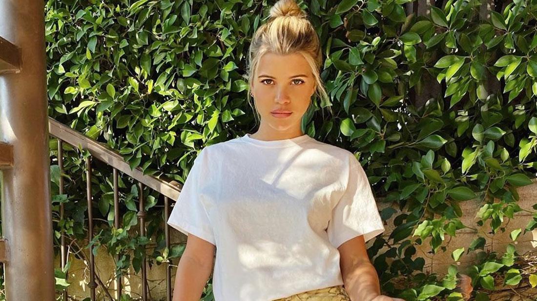 Sofia Richie Catches Heat As She Poses, Complains, During Hollywood Fires