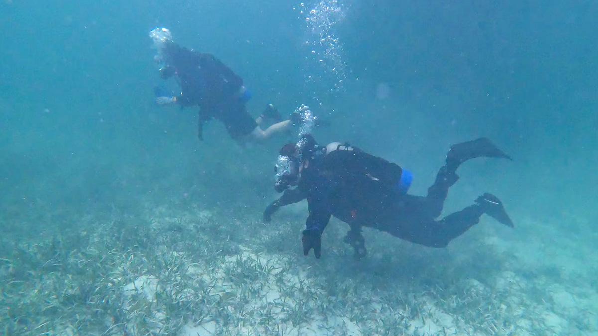 After completing their search, the Coast Guard announced it was ending its mission.