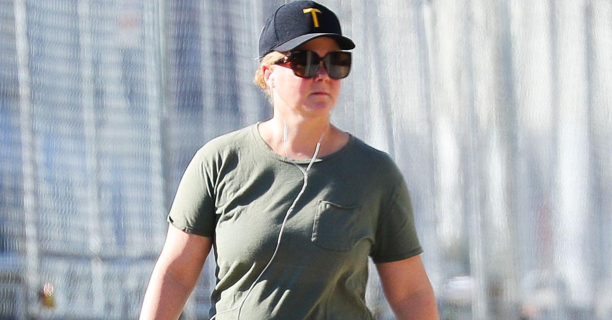 Dr. Gabe Mirkin warned Amy Schumer's spinal surgery could easily go terribly wrong.