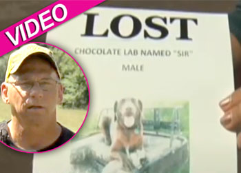 //man sells house dog cnn