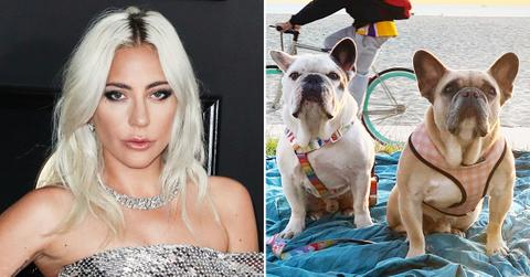 microsoftteams image