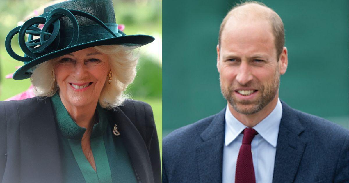 Queen Camilla's careful diplomacy may help maintain harmony with future monarch Prince William.