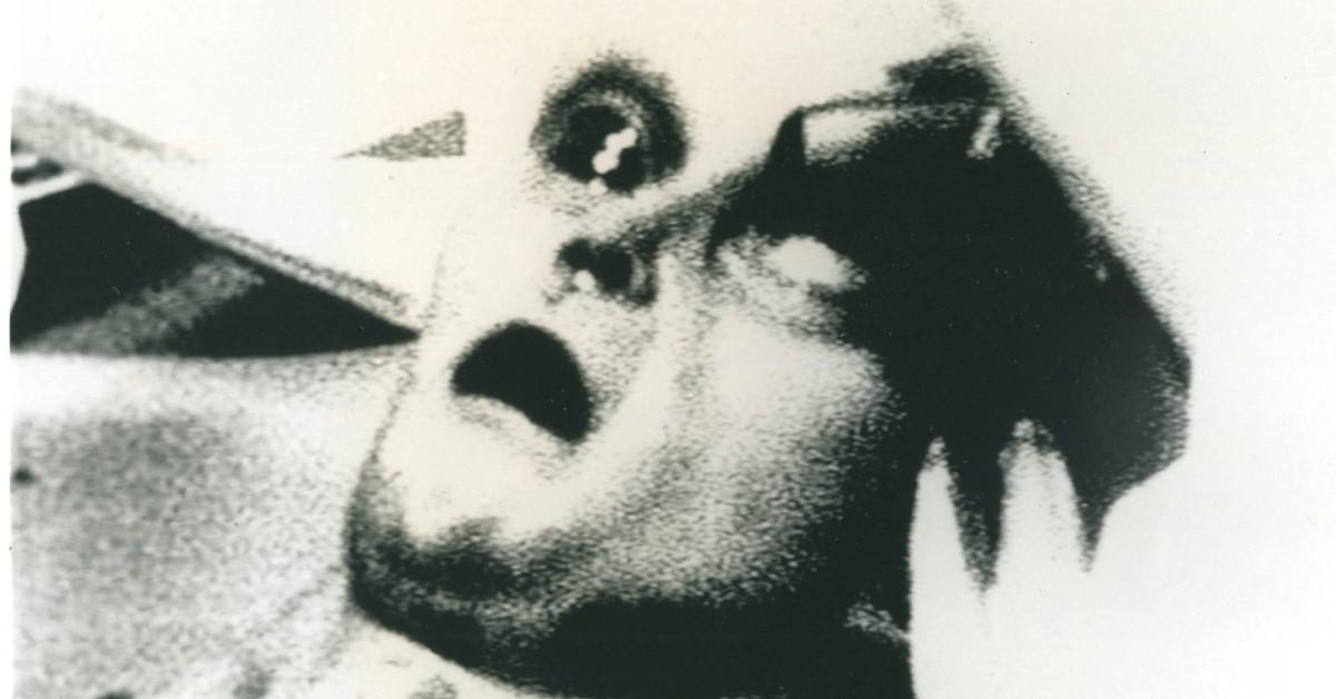 Some speculate there may be hidden truth about aliens in his new film.