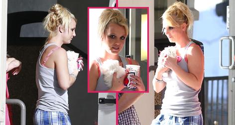 //britney spears boxers sq fameflynet