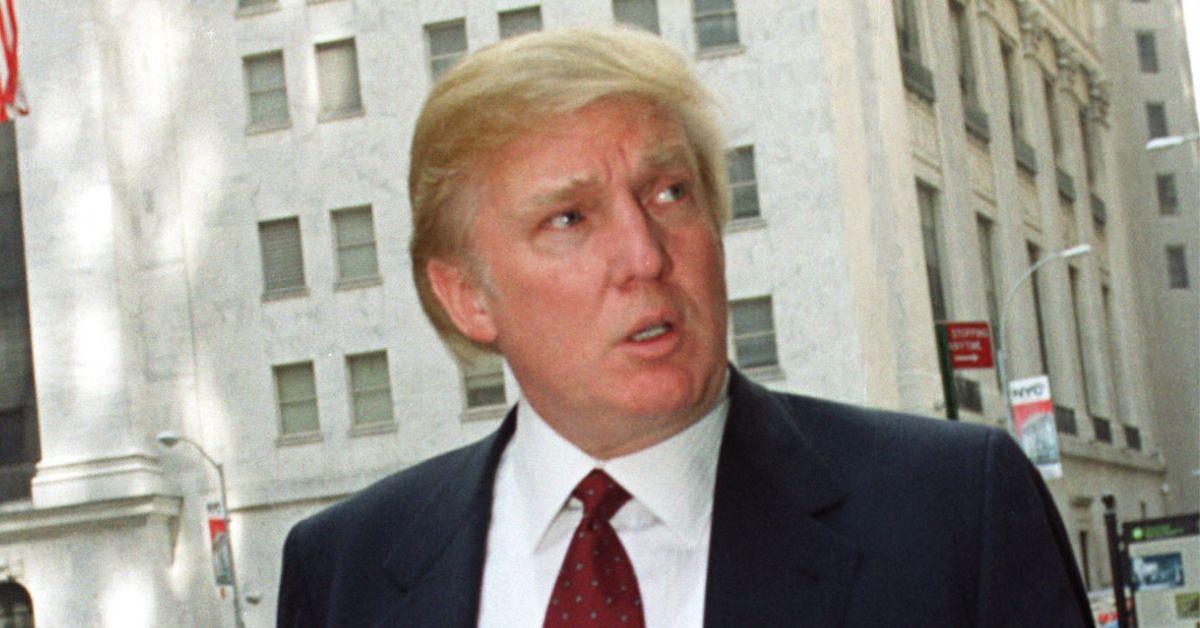 donald trump hair photos