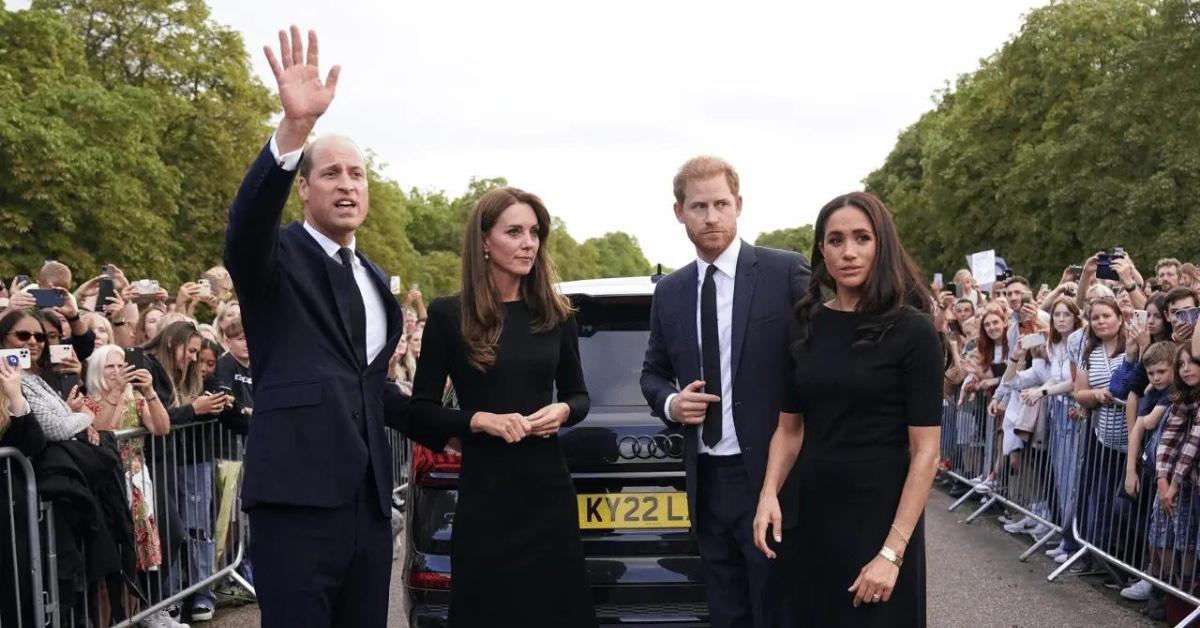 prince harry meghan markle non profit mystery donor  million